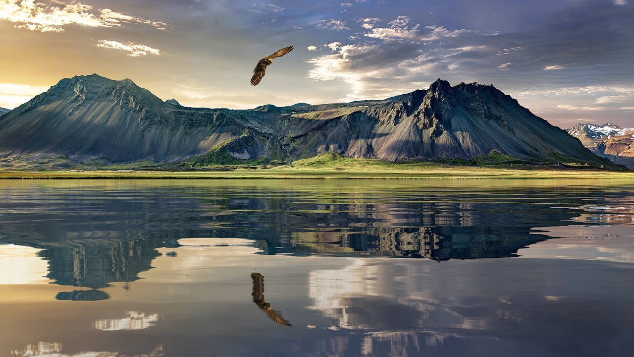 eagle-1450672_1280
